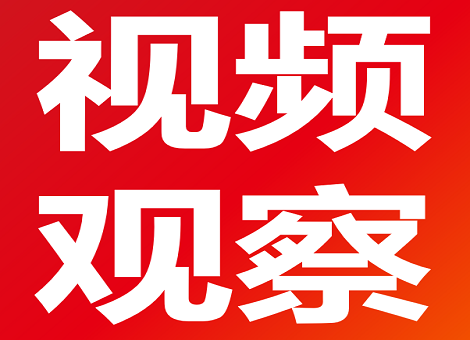 【电视观察】《南方有乔木》即将于3月25日登录浙江卫视、江苏卫视黄金剧场